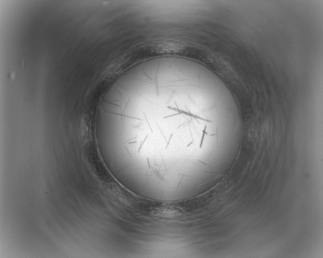 X0000075350743200609292100