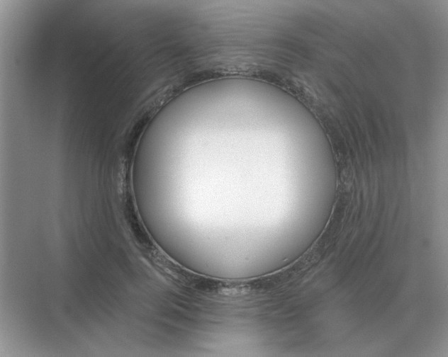 X0000075350744200609292100
