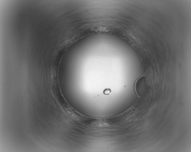 X0000075350747200609292100