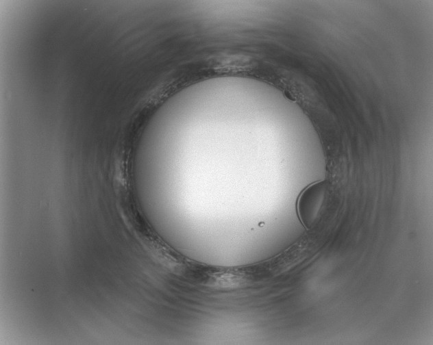 X0000075350755200609292100