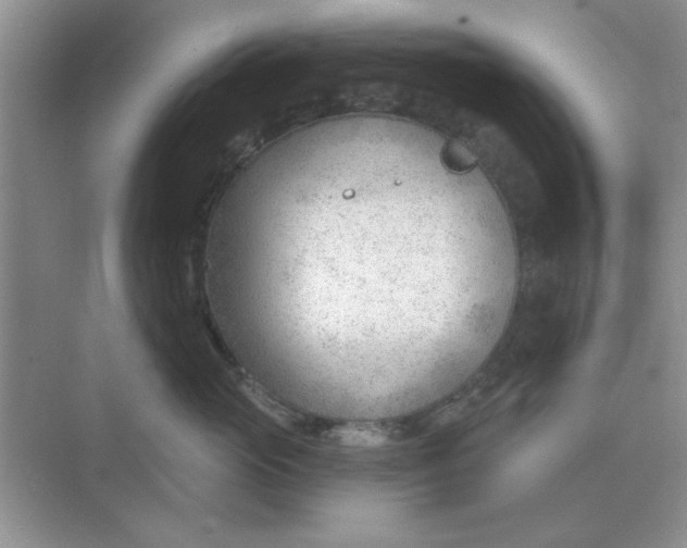 X0000075350765200609292100