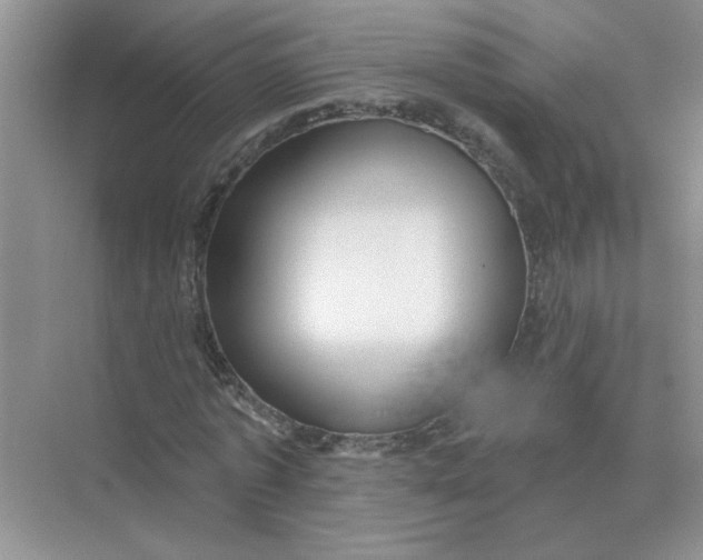X0000075350773200609292100