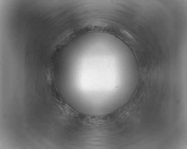 X0000075350774200609292100