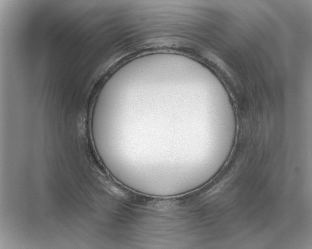 X0000075350778200609292100