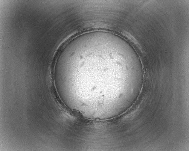 X0000075350782200609292100