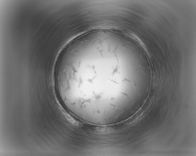 X0000075350795200609292059