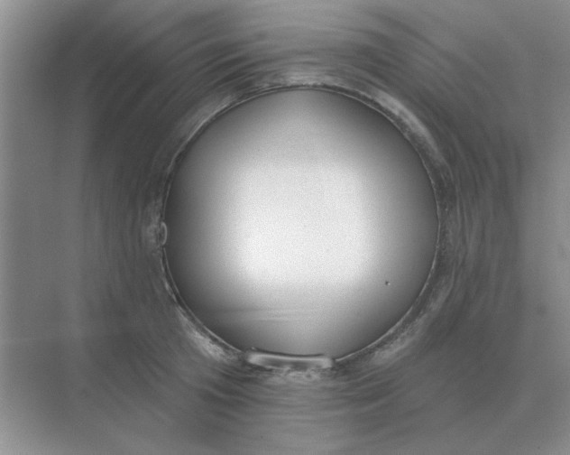 X0000075350801200609292059