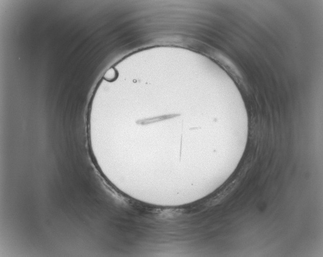 X0000075350808200609292059