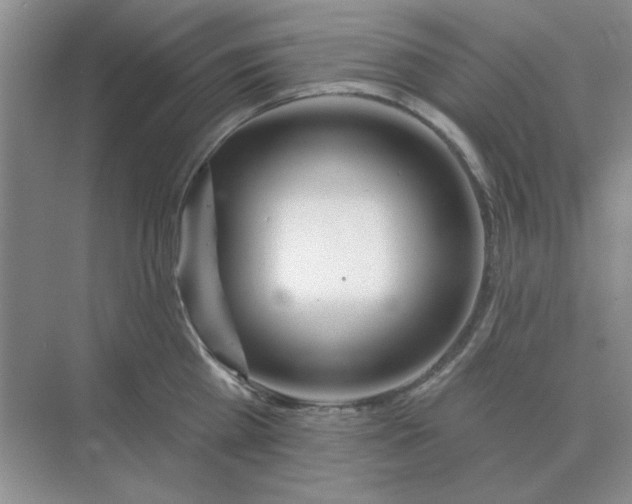 X0000075350809200609292059