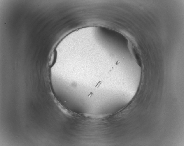 X0000075350816200609292059