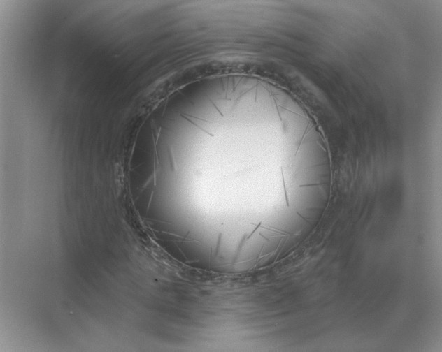 X0000075350821200609292058