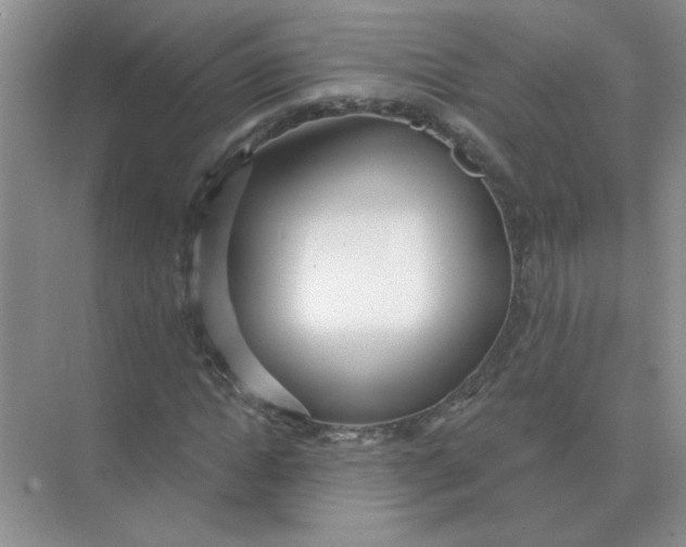 X0000075350822200609292058