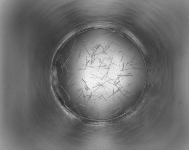 X0000075350853200609292059