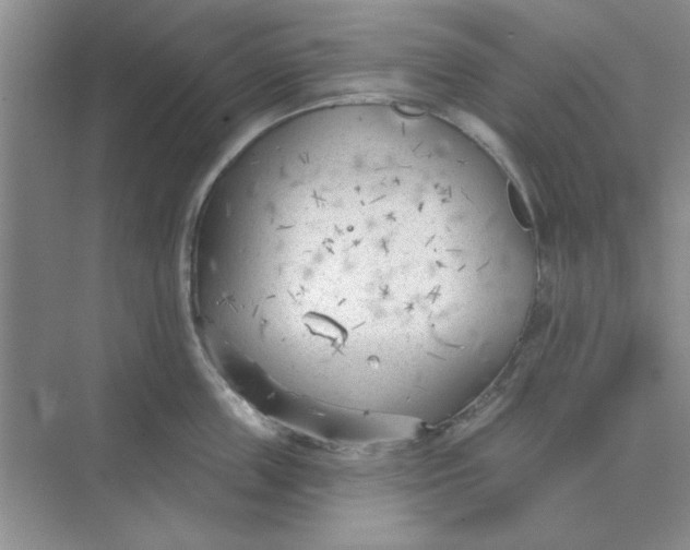 X0000075350859200609292059