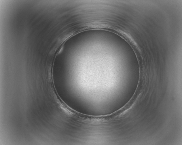 X0000075350889200609292058