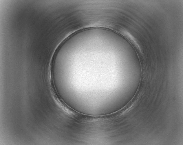 X0000075350892200609292058