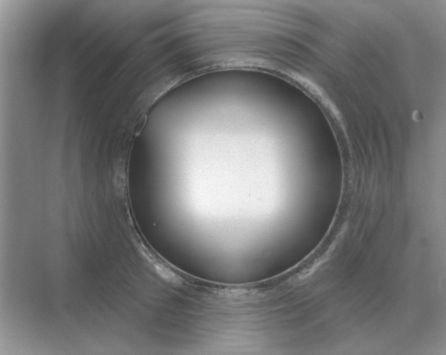 X0000075350897200609292058