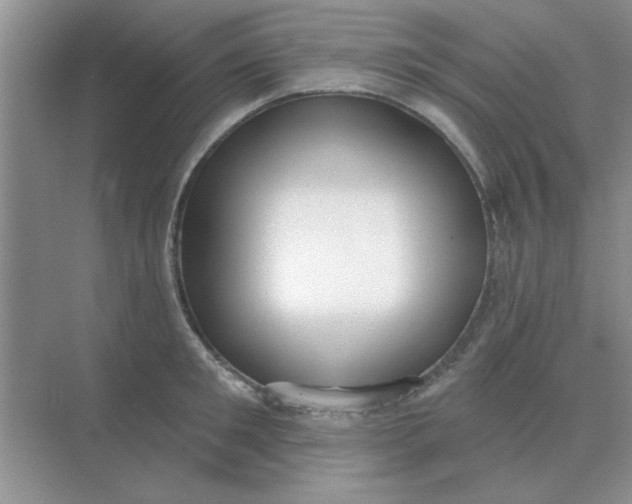 X0000075350901200609292058