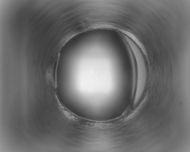 X0000075350905200609292057