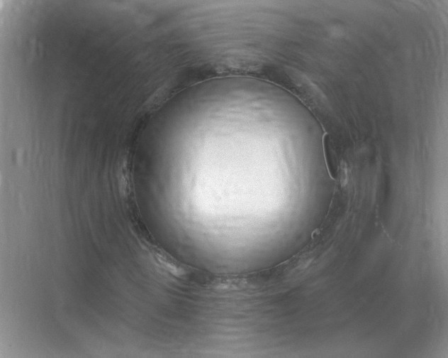 X0000075350915200609292057