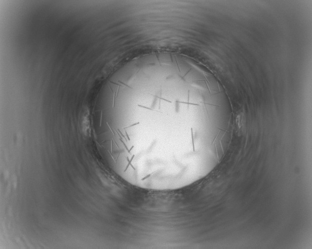 X0000075350963200609292056