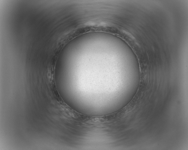X0000075350966200609292056