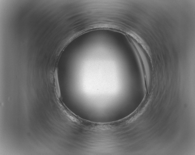 X0000075350993200609292056