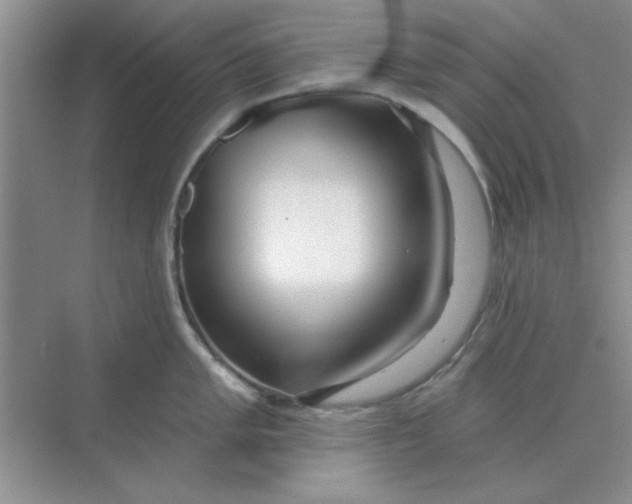 X0000075351005200609292056