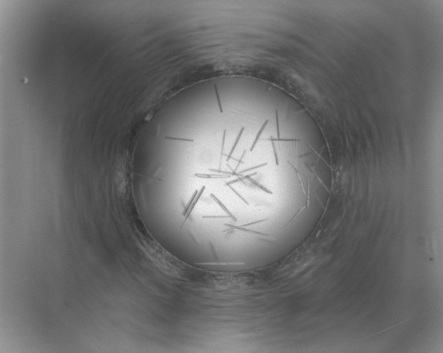 X0000075351012200609292055
