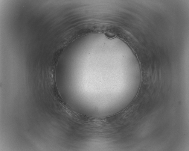 X0000075351013200609292055