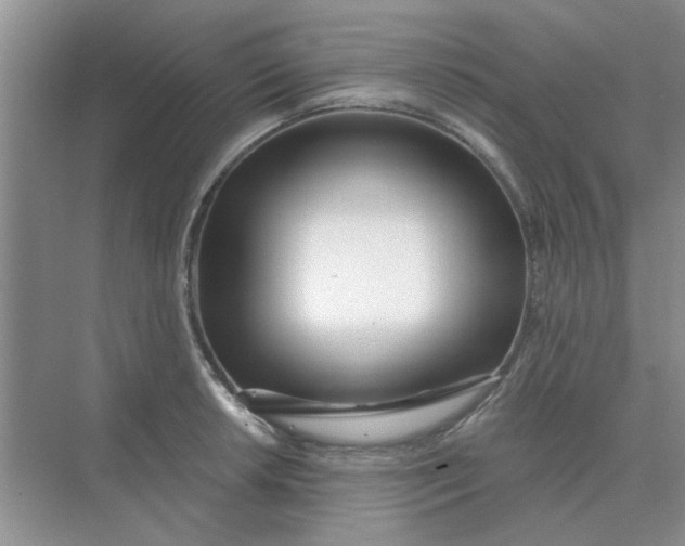 X0000075351042200609292055
