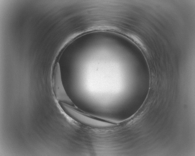 X0000075351046200609292056