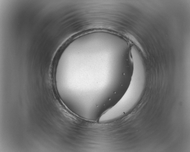 X0000075351068200609292055