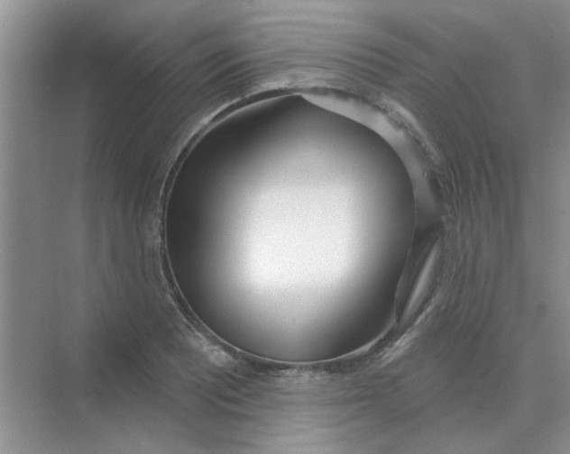 X0000075351081200609292054