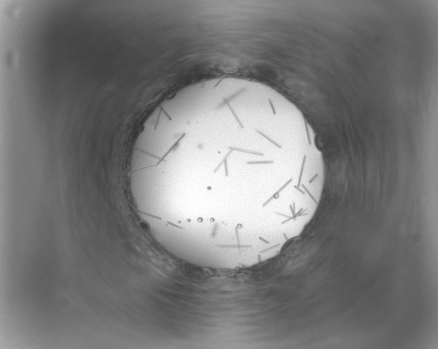 X0000075351105200609292053