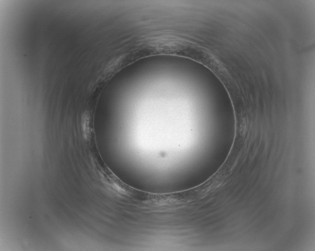 X0000075351108200609292053