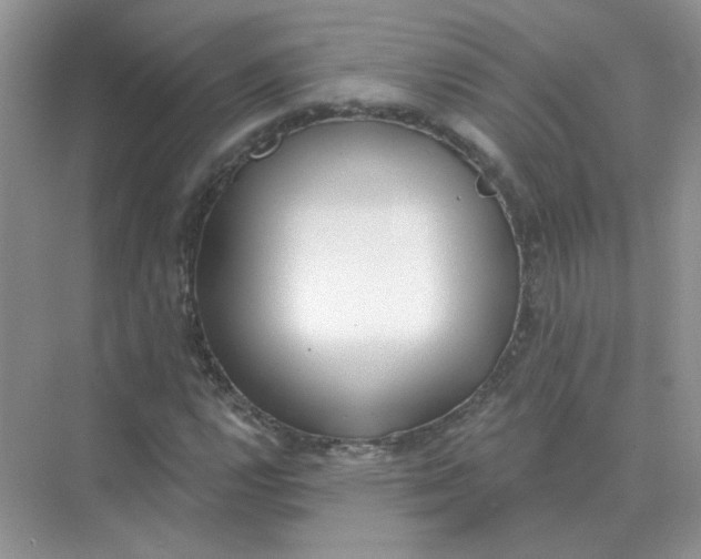 X0000075351112200609292053