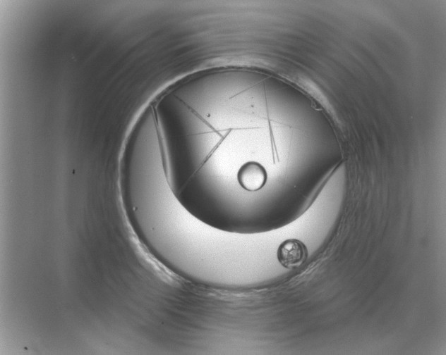 X0000075351132200609292054