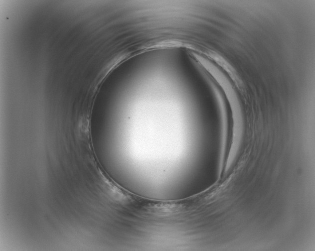 X0000075351193200609292053