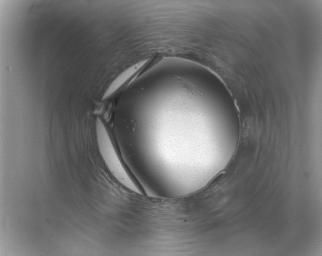 X0000075351202200609292052