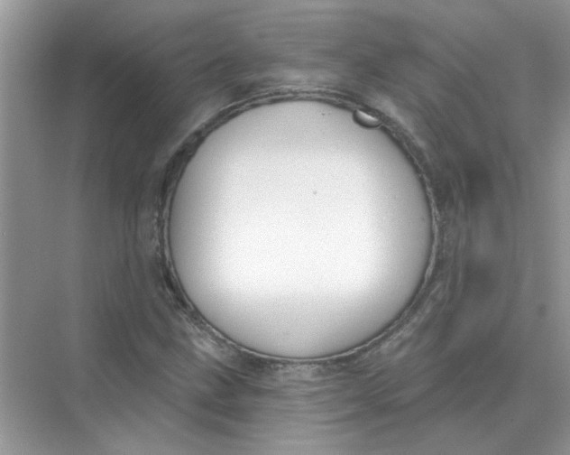 X0000075351211200609292052