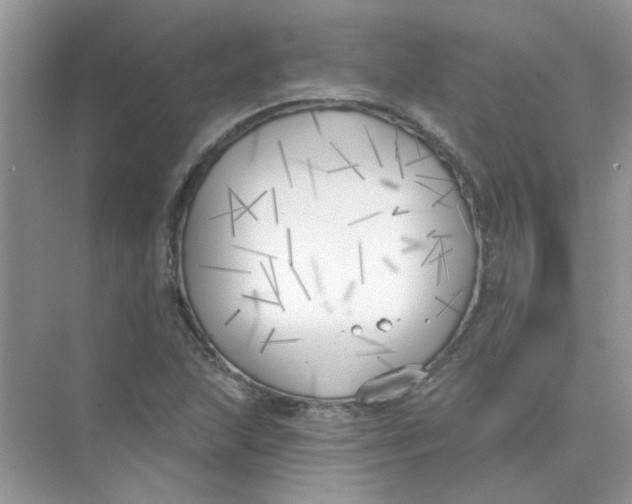 X0000075351215200609292052