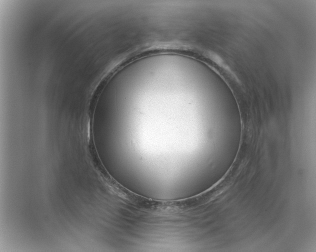 X0000075351221200609292052