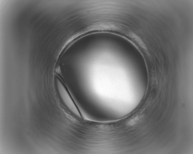 X0000075351226200609292052