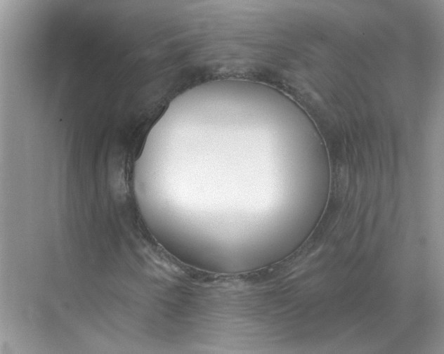 X0000075351250200609292052