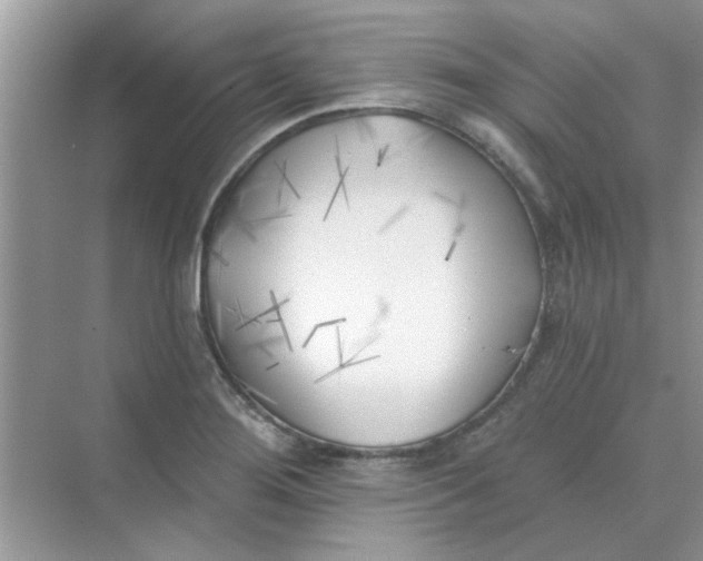 X0000075351276200609292051