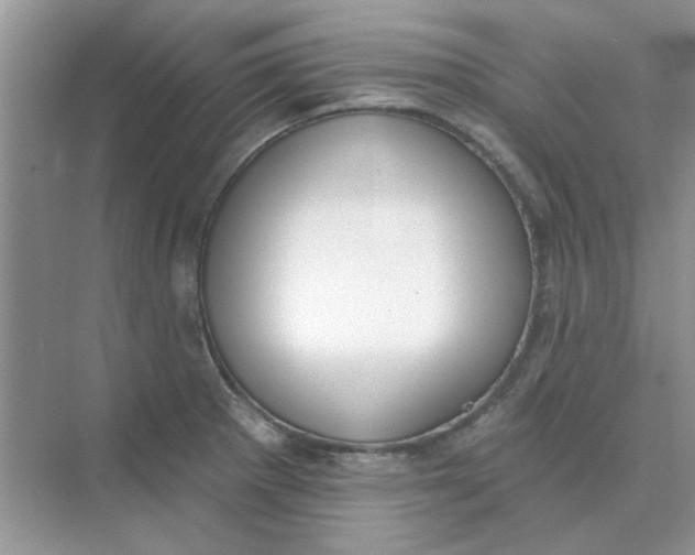 X0000075351281200609292051