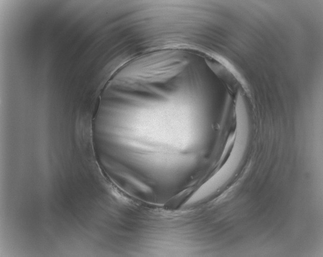 X0000075351289200609292051