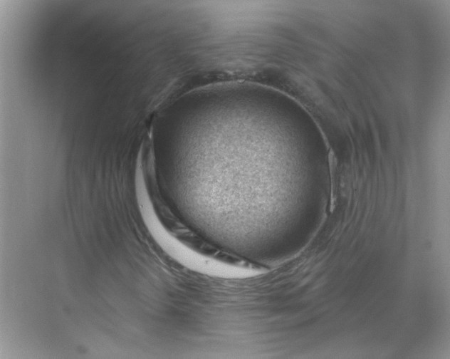 X0000075351298200609292050