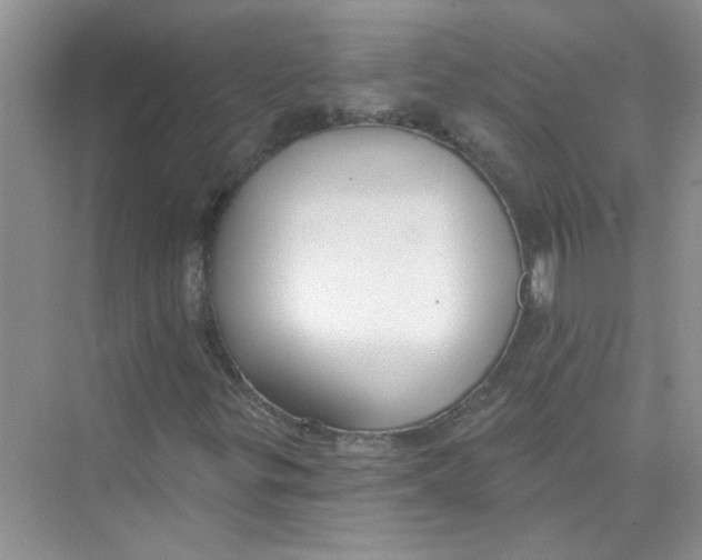 X0000075351299200609292050